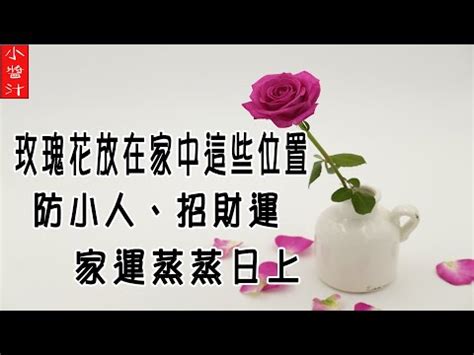 種玫瑰 風水|【玫瑰風水】小心！玫瑰花風水禁忌大公開：招桃花、敗財運？